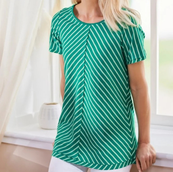 Soft Surrounings Indra  srtipe tee SZ L - Picture 1 of 7